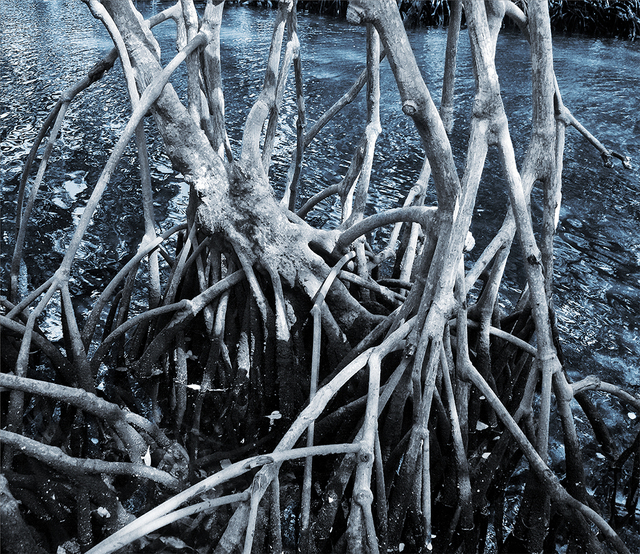 Holly King, ‘Tidal’, 2009, Art Mûr