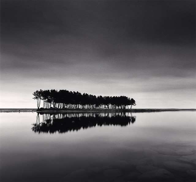 Michael Kenna, ‘Pine Trees, Study 1, Wolcheon, Gangwondo, South Korea’, 2007, G. Gibson Gallery