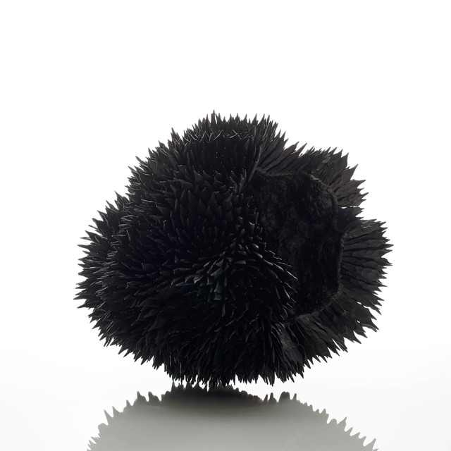 Junko Mori, ‘Propagation Project; Rosularia’, 2019, Adrian Sassoon