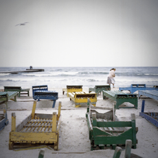 Davide Monteleone | An Overview