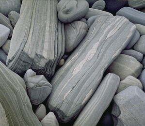 Winfield Gallery