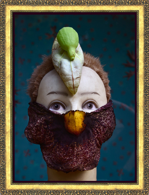 Rochelle Costi, ‘Aristolochia fbt’, 2014, Celma Albuquerque Galeria de Arte