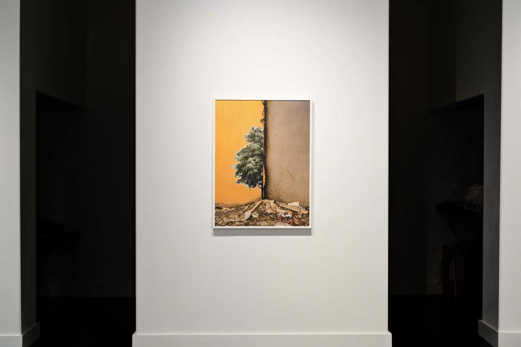 Pictured is Rhea Karam "TS_04," framed archival pigment print. Pictured is Rhea Karam "TS_04," framed archival pigment print.
