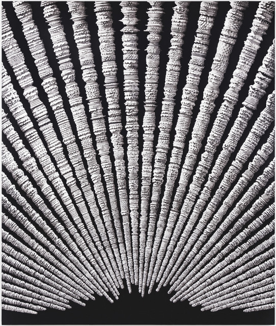 Zamanın Tortuları / Residiues of Time — Erol Eskici (2014)