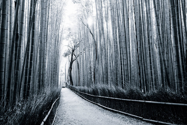 Takeo Hirose, ‘Skyscrapers No.7’, 2018, Photography, Archival Pigment Print, BBA Gallery
