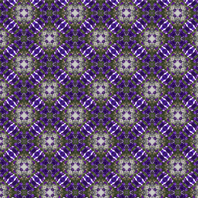 Adele Venter, ‘Purple Flower ’, 2018, Photography, Illford Gloss | Photography, Recreational Enterprises & Perseus Gallery