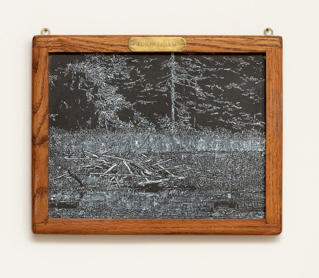 Helen Altman, ‘Forest/Dam’, 2019, Talley Dunn Gallery