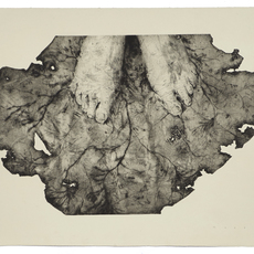 David Maes