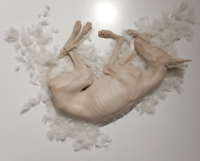 Shen Shaomin, ‘I Sleep On Top Of Myself (Dog)’, 2012, Eli Klein Gallery