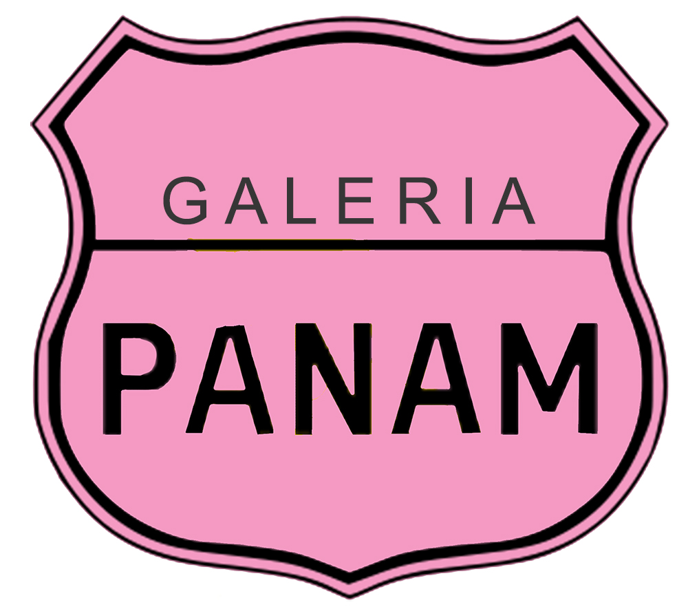 Panam logo