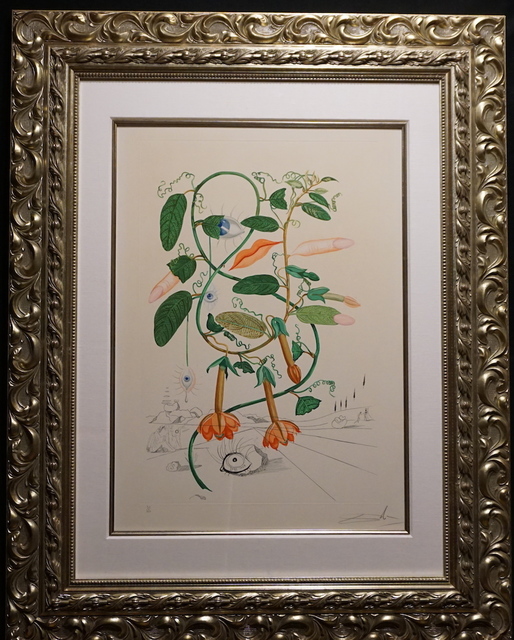 Salvador Dalí, ‘Flora Dalinae Pisum Sensuale’, 1968, Print, Etching, Fine Art Acquisitions Dali
