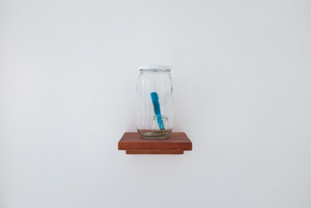 Operators from the Cambrian Onwards (Fragment IV) — Gülşah Mursaloğlu (2019)