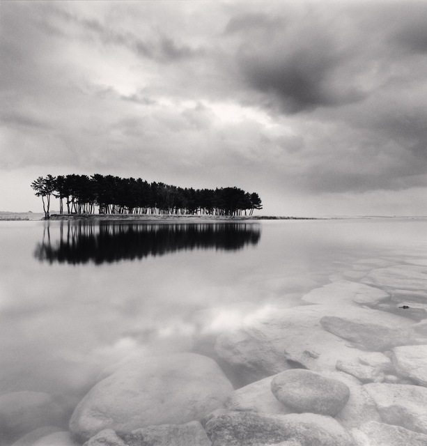 Michael Kenna, ‘Pine Trees, Study 3, Wolcheon, Gangwondo, South Korea. 2011’, 2011, Photography, Gelain Silver Print, Patricia Conde Galería