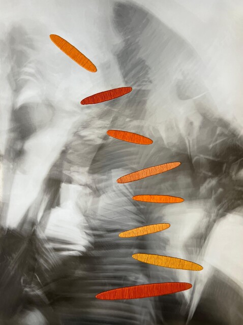 image-zoom