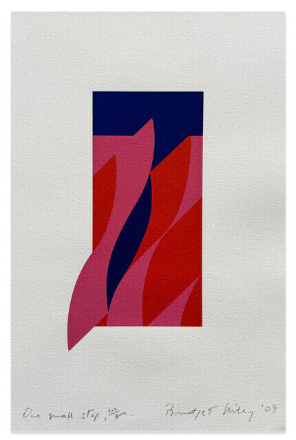 Bridget Riley - One Small Step