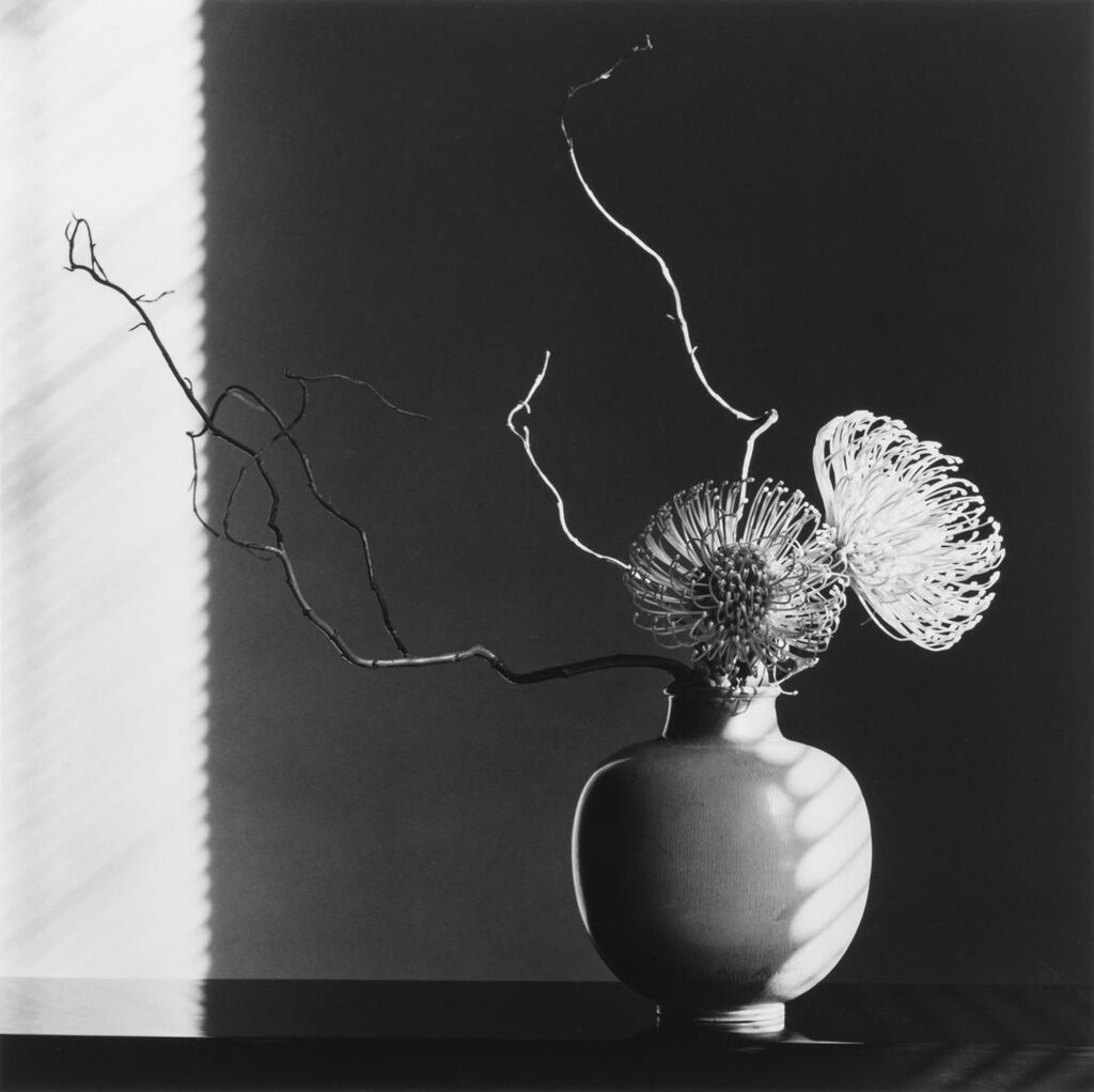 Robert Mapplethorpe - Flower Arrangement