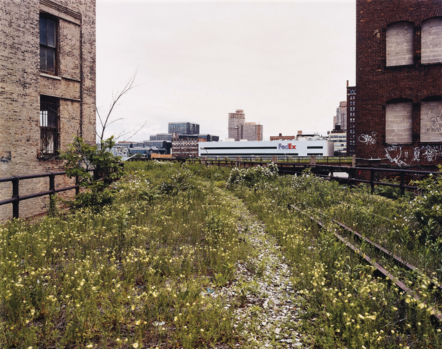 Joel Sternfeld, ‘Looking Northwest from 29th Street, June 2000’, Phillips