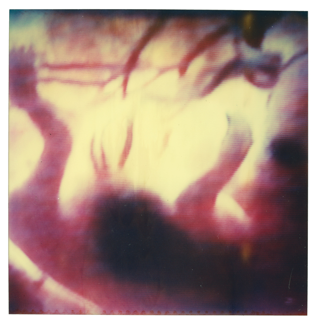 Stefanie Schneider, ‘Womb #02’, 2006, Instantdreams