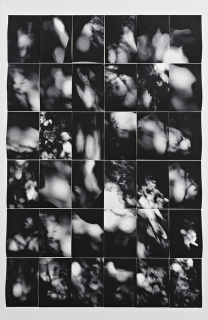 Martin Soto Climent, ‘Luz en papel’, 2018, Photography, Set of 36 Digital prints, PROYECTOS MONCLOVA