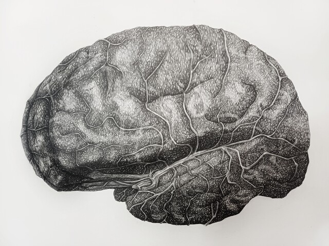 Fragment 11