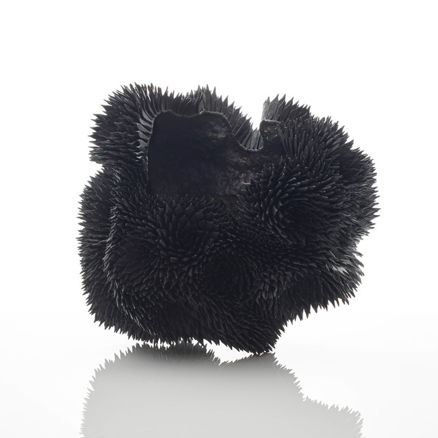 Junko Mori, ‘Propagation Project; Nigella Rosularia’, 2019, Adrian Sassoon