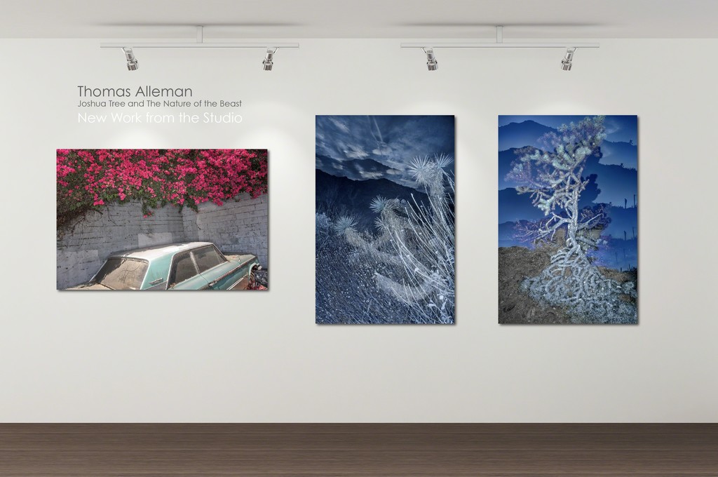 Joshua Tree and The Nature of the Beast by Thomas Alleman ©2018 Joshua Tree and The Nature of the Beast by Thomas Alleman ©2018
