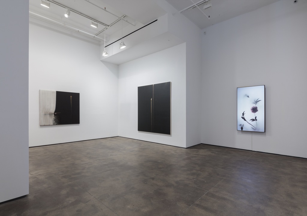 Installation view of Abstract by Nature at Sean Kelly, New York
June 28 - August 2, 2019
Photography: JSP Art Photography
Courtesy: Sean Kelly, New York Installation view of Abstract by Nature at Sean Kelly, New York
June 28 - August 2, 2019
Photography: JSP Art Photography
Courtesy: Sean Kelly, New York