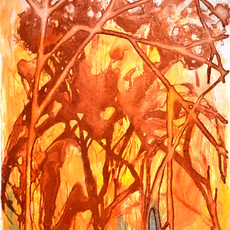 Chris Ann Ambery