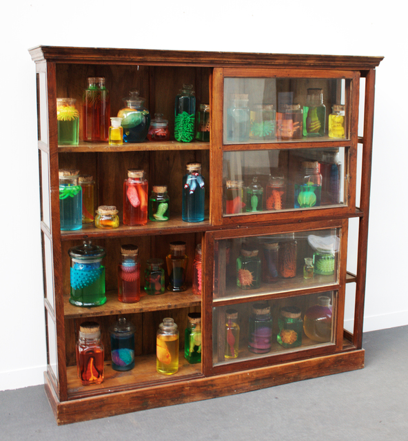 Mark Dion, ‘Sea Life’, 2011, Installation, Installation, In Situ - Fabienne Leclerc