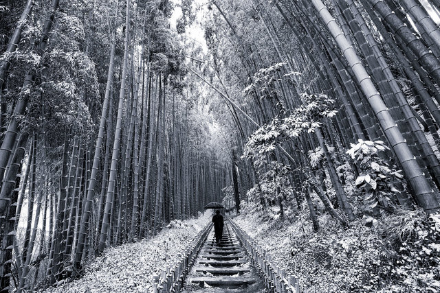 Takeo Hirose, ‘Japanese winter wonderland No.2’, 2019, Photography, Archival Pigment Print, BBA Gallery