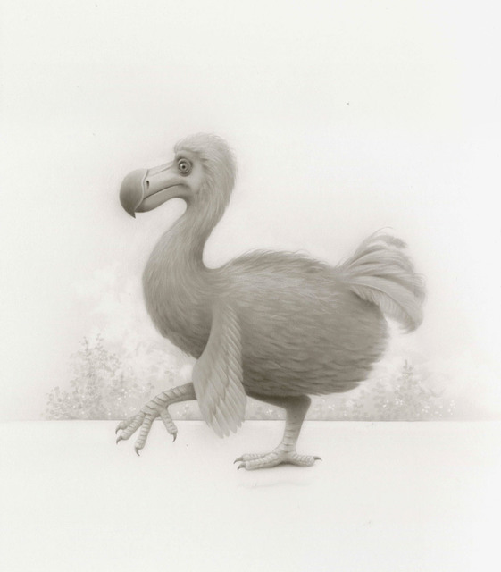Travis Louie, ‘Curious Dodo Bird’, 2017, Haven Gallery