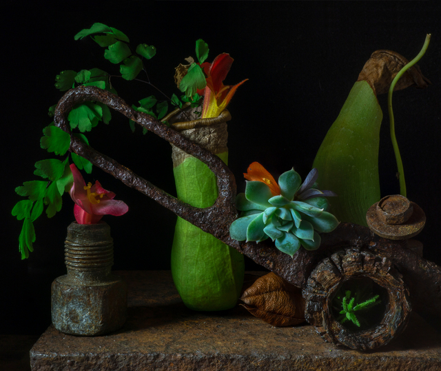Allan Markman, ‘Still Life with Pitcher Plants and Scissor’, Soho Photo Gallery