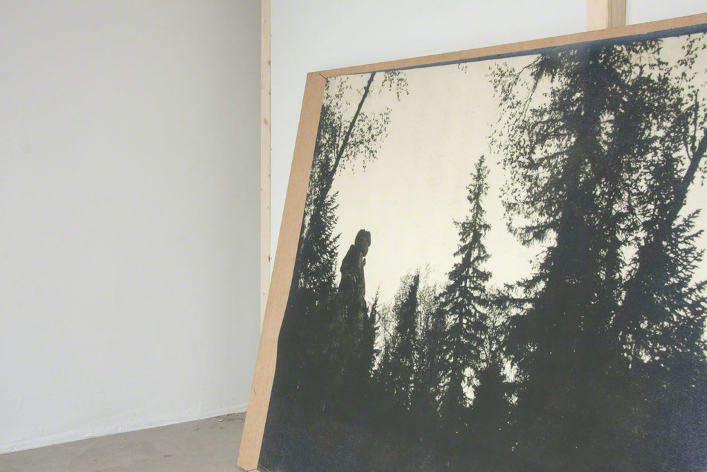 Ine Lamers, showroom, "stolby", inkjet print, MDF wood, kabinet 490 x 249 x 244 cm, 2012 | image: Ine Lamers Ine Lamers, showroom, "stolby", inkjet print, MDF wood, kabinet 490 x 249 x 244 cm, 2012 | image: Ine Lamers