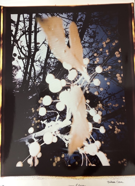 Barbara Crane, ‘Visions of Enarc’, 1983, Chicago Artists Coalition (CAC) Benefit Auction