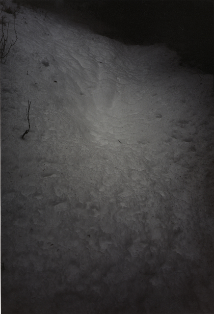 Jitka Hanzlová, ‘Forest #42, Untitled (White Hole-Black Snow)’, 2005, Photography, Chromogenic print, Yancey Richardson Gallery