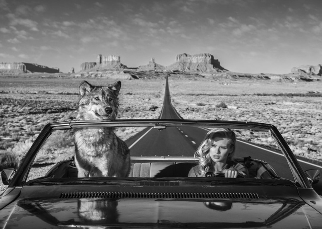 David Yarrow, ‘Road Trip’, ca. 2018, Photography, Archival Pigment Photograph, Samuel Lynne Galleries
