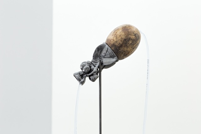 Santiago Reyes Villaveces, ‘Poporo (Totumo)’, 2020, Sculpture, Graphite, totumo, starch, metal, Ncontemporary