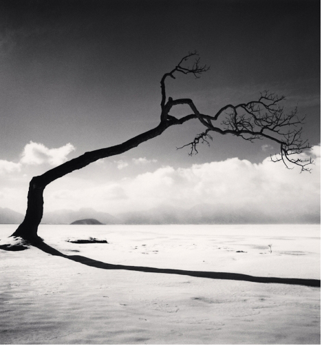Michael Kenna, ‘Kussharo Lake Tree, Study 10, Kotan, Hokkaido, Japan’, 2005, Weston Gallery