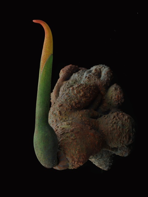 Judy Fox, ‘EdenPlant 5’, 2017, Nancy Hoffman Gallery