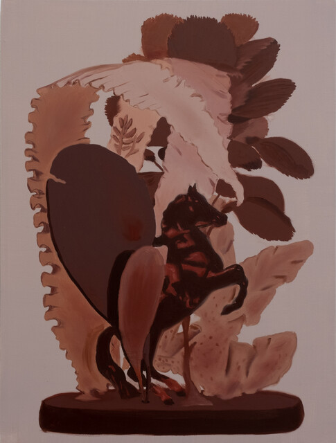 Curio 1