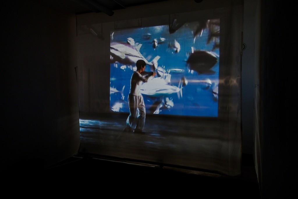 Doris Schmid, "BLINK", 2-channel video installation, 2013 | image: ©dasesszimmer Doris Schmid, "BLINK", 2-channel video installation, 2013 | image: ©dasesszimmer