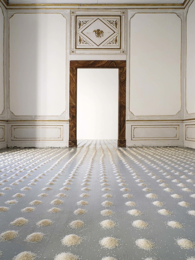Wolfgang Laib - Partial view of the exhibition - October 2016 - Galleria Alfonso Artiaco, Napoli Wolfgang Laib - Partial view of the exhibition - October 2016 - Galleria Alfonso Artiaco, Napoli