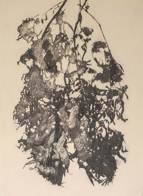 George Mead Moore, ‘Leaves of grass H’, 2019, Drawing, Collage or other Work on Paper, Grafito/papel algodón, Quetzalli Arte y Diseño
