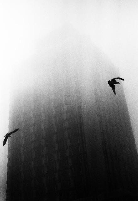 Yusuf Sevinçli, ‘038 - Istanbul, série Oculus, 2013’, Galerie Les filles du calvaire