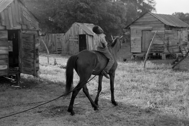 Constantine Manos, ‘Untitled, Island Boy, Daufuskie Island, South Carolina (boy on horse)’, 1952, Robert Klein Gallery