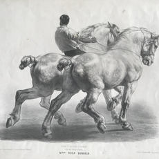 Achille-Louis-Joseph Sirouy after Rosa Bonheur (French, Bordeaux 1822–1899 Thomery)