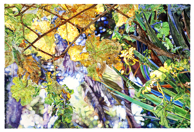 Joseph Raffael, ‘Moving Toward the Light IV’, 2015 -2016, Painting, Watercolor on paper, Nancy Hoffman Gallery