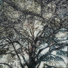 Tang Shu 汤曙