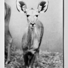 Jochen Lempert