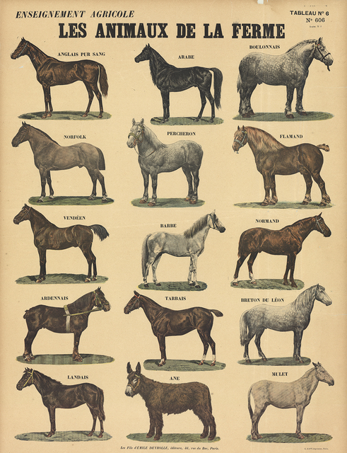 Emile Deyrolle, ‘Les Animaux De La Ferme - Les Chevaux’, 1945, Print, Lithograph, ArtWise